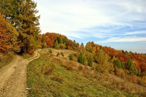 Lenkija, Pieninis, Ruduo, Saulė, Spalvos, Lapija, Šventė, Kraštovaizdis, Kalnai, Gamta, Žalias, Takas, Miškas, Medis, Vaizdas, Turizmas, Saulėtas, Kelionė, Horizontas, Ramybė, Tyla, Mėlynas Dangus, Dangus, Spalvinga