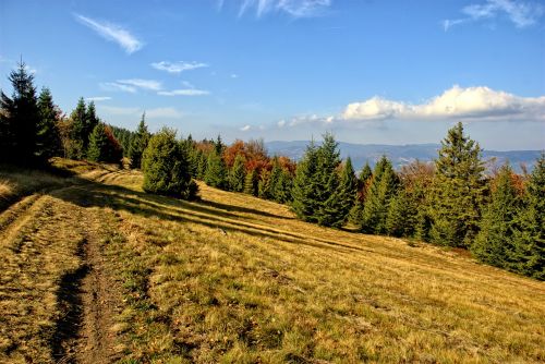 Lenkija, Pieninis, Ruduo, Saulė, Spalvos, Lapija, Šventė, Kraštovaizdis, Kalnai, Gamta, Žalias, Takas, Miškas, Medis, Vaizdas, Turizmas, Saulėtas, Kelionė, Horizontas, Ramybė, Tyla, Mėlynas Dangus, Dangus, Spalvinga