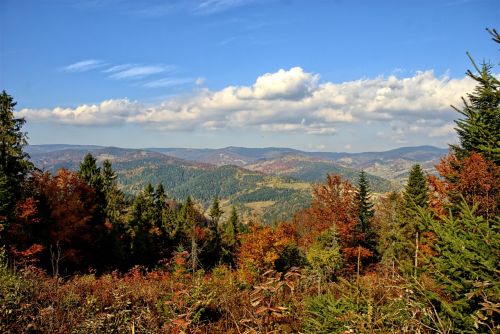 Lenkija, Pieninis, Ruduo, Saulė, Spalvos, Lapija, Šventė, Kraštovaizdis, Kalnai, Gamta, Žalias, Takas, Miškas, Medis, Vaizdas, Turizmas, Saulėtas, Kelionė, Horizontas, Ramybė, Tyla, Mėlynas Dangus, Dangus, Spalvinga