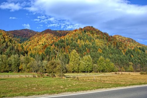 Lenkija, Pieninis, Ruduo, Saulė, Spalvos, Lapija, Šventė, Kraštovaizdis, Kalnai, Gamta, Žalias, Takas, Miškas, Medis, Vaizdas, Turizmas, Saulėtas, Kelionė, Horizontas, Ramybė, Tyla, Mėlynas Dangus, Dangus, Spalvinga