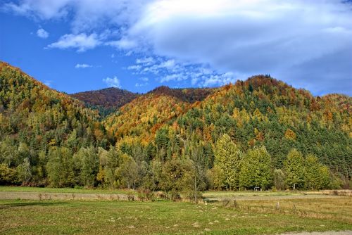 Lenkija, Pieninis, Ruduo, Saulė, Spalvos, Lapija, Šventė, Kraštovaizdis, Kalnai, Gamta, Žalias, Takas, Miškas, Medis, Vaizdas, Turizmas, Saulėtas, Kelionė, Horizontas, Ramybė, Tyla, Mėlynas Dangus, Dangus, Spalvinga