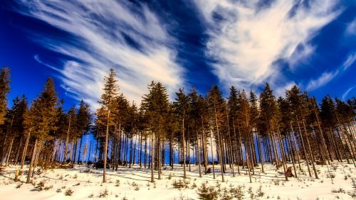Lenkija, Žiema, Sniegas, Miškas, Medžiai, Miškai, Dangus, Debesys, Kraštovaizdis, Gamta, Lauke, Kaimas, Kaimas, Panorama