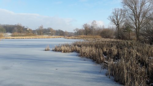 Lenkija,  Dykuma,  Pobūdį,  Parkas,  Miškas,  Žiema