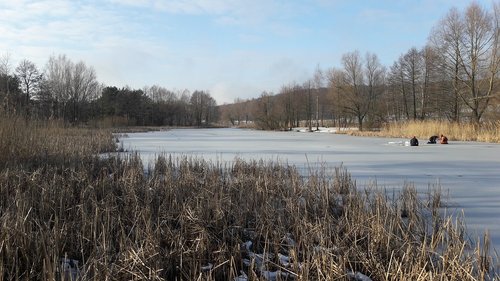 Lenkija,  Dykuma,  Pobūdį,  Parkas,  Miškas,  Žiema