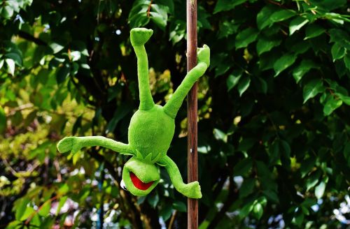 Pole Dance, Kermit, Juokinga, Minkštas Žaislas, Gyvūnas, Žaislai, Iškamša, Pliušas, Varlės, Figūra, Mielas, Kermito Varlė, Varlė, Žalias
