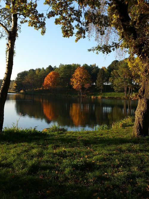 Tvenkinys, Kritimas, Gamta, Medžiai, Atspindys, Panorama