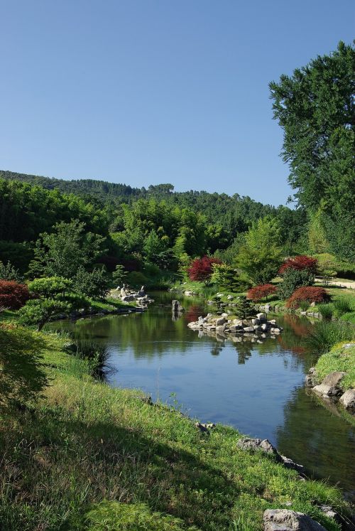 Tvenkinys, Gamta, Kraštovaizdis, Miškas, Anduze, France