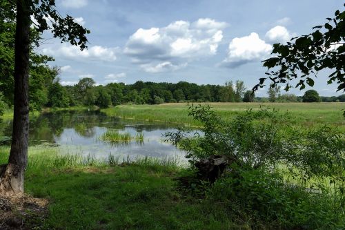 Tvenkinys, Ežeras, Kraštovaizdis, Biotopa