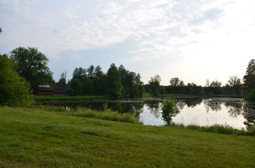 Tvenkinys, Pieva, Białowieża, Žalias, Gamta, Lenkija