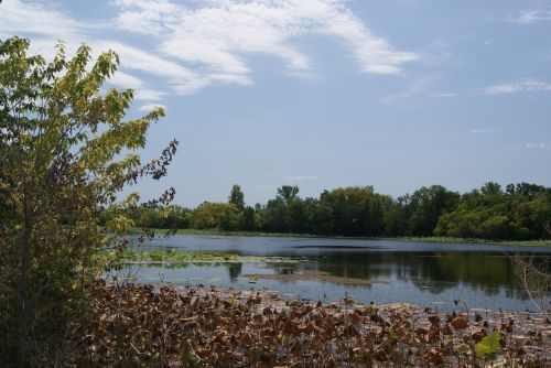 Tvenkinys, Vanduo, Atspindys, Gamta, Kraštovaizdis, Dangus, Horizontas, Medžiai, Peizažas, Aplinka, Taikus, Miškas, Upė, Lauke, Lauke, Lapija, Ramus, Ramus