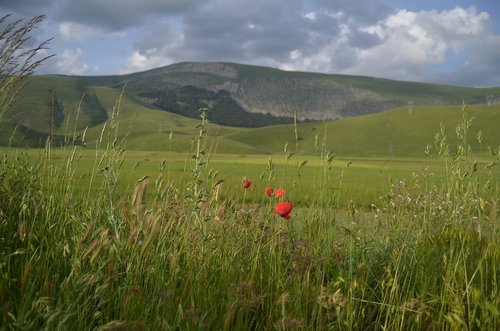 Aguona,  Prato,  Kalnų,  Gamta