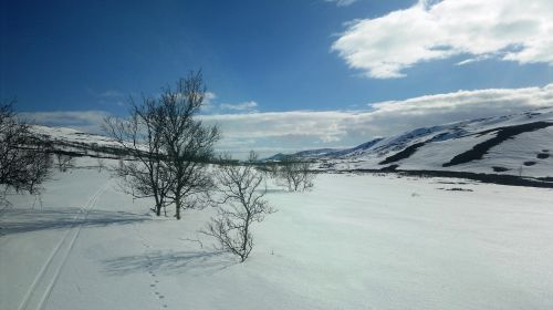 Porsanger, Lakselv, Sniegas, Žiema