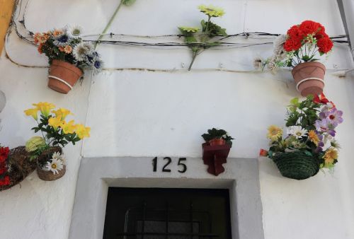 Portugal, Evora, Gatvė, Langas, Gėlės