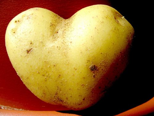 Bulvė, Širdis, Daržovės