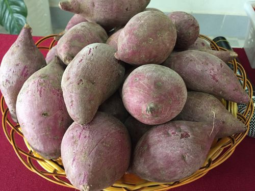 Bulvė, Lang, Binh Tan, Violetinė Saldžiųjų Bulvių Japonų Kalba, Saldžiosios Bulvės