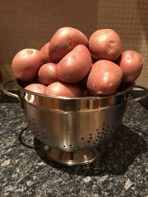 Bulvės, Spuds, Iraine Bulves
