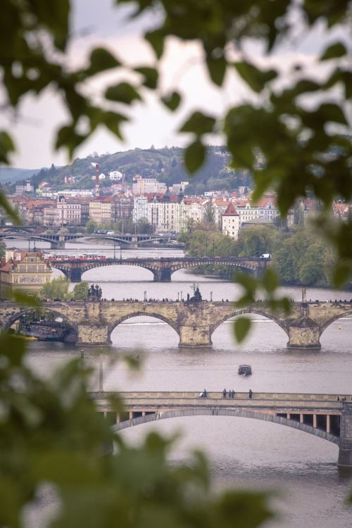 Prague,  Čekija & Nbsp,  Respublika,  Tiltai,  Upė,  Miestas,  Charles Tiltas,  Prague Tiltai Upė