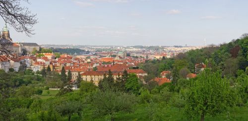 Prague, Panorama, Panoraminiai Vaizdai, Gamta, Europa, Žalumos, Vasara, Stogas, Medžiai, Dangus, Vltava, Architektūra, Prague Tv Bokštas, Čekijos Respublika