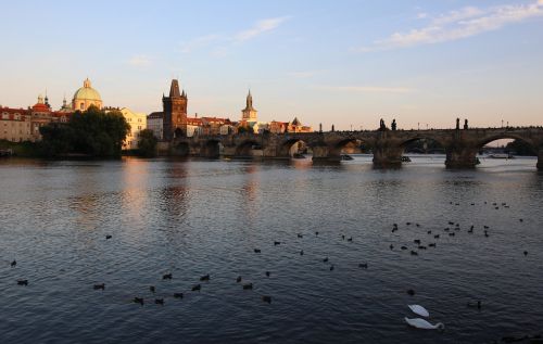 Prague, Charles Tiltas, Miestas, Istorija, Upė, Tiltas, Vltava, Čekijos Respublika, Statula, Europa