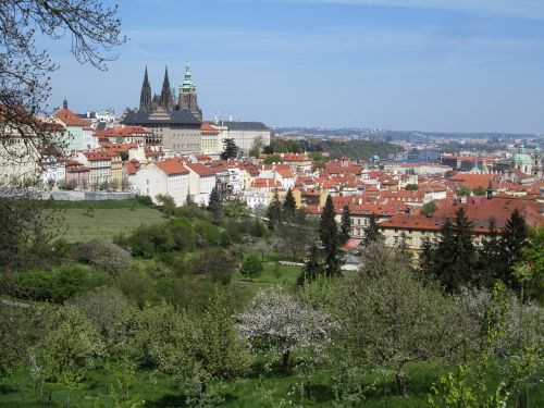 Prague, Miestas, Ekskursijos, Vista, Čekijos Respublika, Pavasaris, Medžiai, Žiedas, Petrin