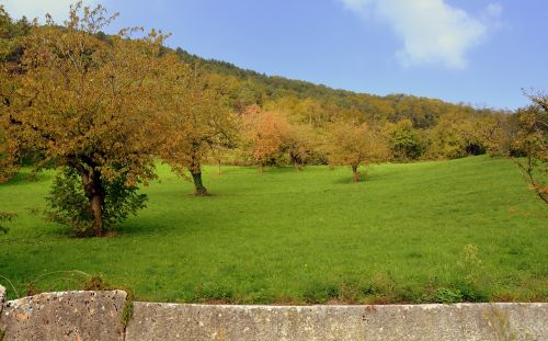 Prato, Medžiai, Žalias, Gamta, Kalnas, Kraštovaizdis