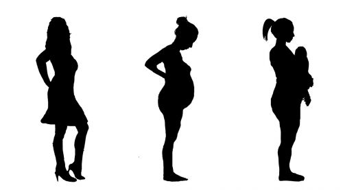 Nėščia, Nėštumas, Siluetas, Moteris, Gimdymas, Kūdikio Pilvas, Plėtra, Reprodukcija, Žmogus, Žmonija