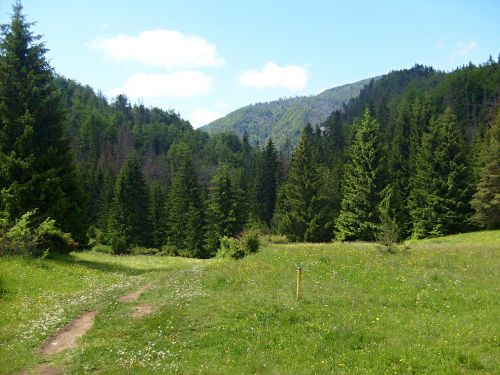 Prosiecká Dolina, Akmenys, Gamta, Kraštovaizdis, Slovakija, Kalnai