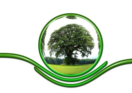 Apsaugoti, Ekologija, Apsauga, Medis, Atsakomybė, Gaublys, Žemė, Pasaulis, Globalizacija, Planeta, Visuotinis, Aplinka, Išsaugojimas, Eco, Žalias