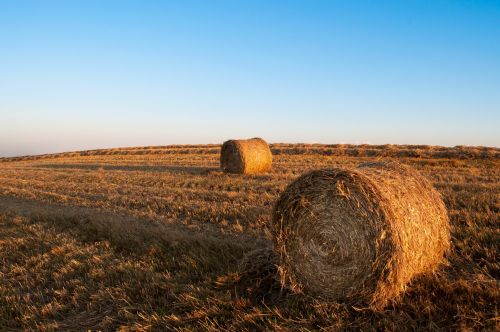 Šiaudai & Nbsp,  Rutuliai,  Šienas,  Laukas,  Ritinys,  Kvieciai,  Kaimas,  Vasara,  Žemdirbystė,  Geltona,  Sezonas,  Pasėlių,  Kaimas,  Derlius,  Laukai,  Ūkis,  Kraštovaizdis,  Lauke,  Žemės Ūkio,  Saulėlydžio Šiaudeliai