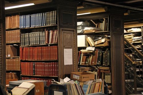 Viešoji Biblioteka, Niujorkas, Knygos, Skaitymas, Dokumentai, Knygų Spinta