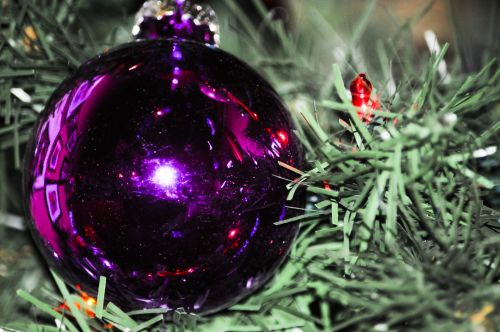 Kalėdos,  Xmas,  Šventė,  Ornamentas,  Medis,  Violetinė,  Iš Arti,  Atspindys,  Atspindėti,  Purpurinė Kalėdų Eglutė