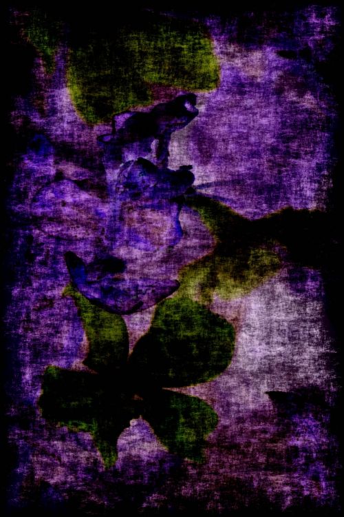 Juoda,  Violetinė,  Tekstūra,  Grunge,  Sluoksnis,  Fonas,  Pinti Vertikalus,  Tamsus Violetinis,  Gėlių,  Violetinė Grunge Fone