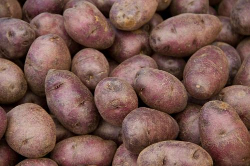 Bulvė,  Daržovių,  Ankštiniai,  Ūkininko & Nbsp,  Rinka,  Pagaminti,  Maistas,  Ingredientas,  Violetinės Bulvės