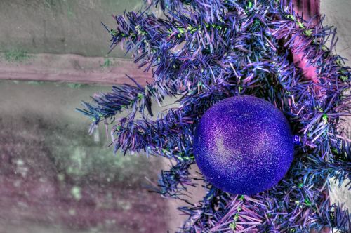 Kalėdos,  Xmas,  Violetinė,  Ornamentas,  Medis & Nbsp,  Ornamentu,  Pušis & Nbsp,  Medis,  Pušies & Nbsp,  Filialas,  Šventė,  Sezoninis,  Violetinė Medžio Apdaila