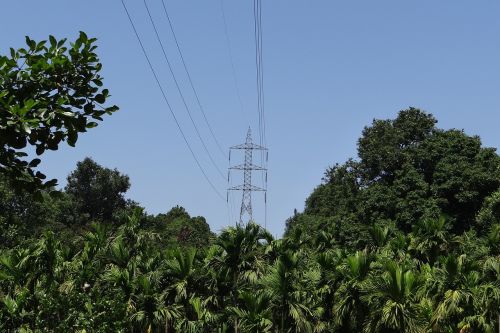 Pilonas, Elektros Energija, Galia, Linijos, Aukštos Įtampos, Storas Miškas, Kalnas, Arecanut Plantacijos, Karnataka, Indija