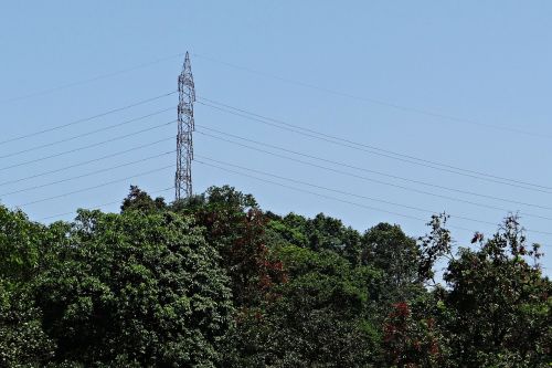 Pilonas, Elektros Energija, Galia, Linijos, Aukštos Įtampos, Storas Miškas, Kalnas, Karnataka, Indija