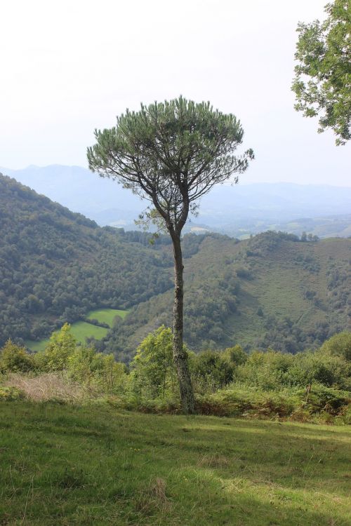 Pyrenee, Kalnas, Lanne In Baretous, Į Pietus, France, Laisva Darbo Vieta, Kraštovaizdis, Gamta, Pyrénées, Debesys, Atlanto Pyrenees, Aukščiausiojo Lygio Susitikimai, Kalnai, Aukštas Kalnas, Medis, Trys