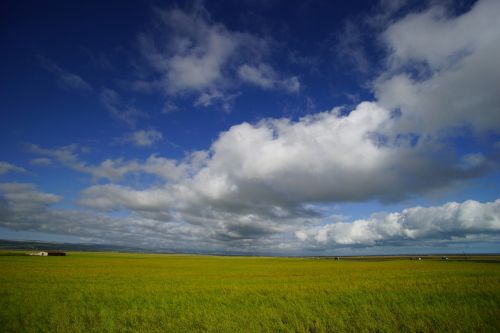 Qinghai, Činghai Ežeras, Kraštovaizdis