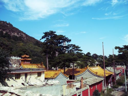 Qingliangsi, Vienuolynas, Kraštovaizdis, Budizmas, Religija, Kalnas, Medis, Senovės Architektūra