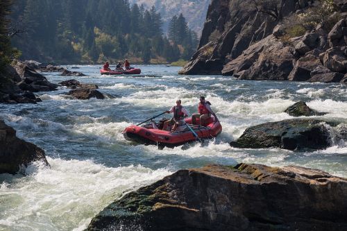 Rafting,  Upė,  Vanduo,  Sportas,  Kraštovaizdis,  Baltas Vanduo,  Plūdė,  Irklas,  Komandinis Darbas,  Padengti Gaudyklės Kanjonu,  Dykuma,  Montana,  Usa,  Amerika