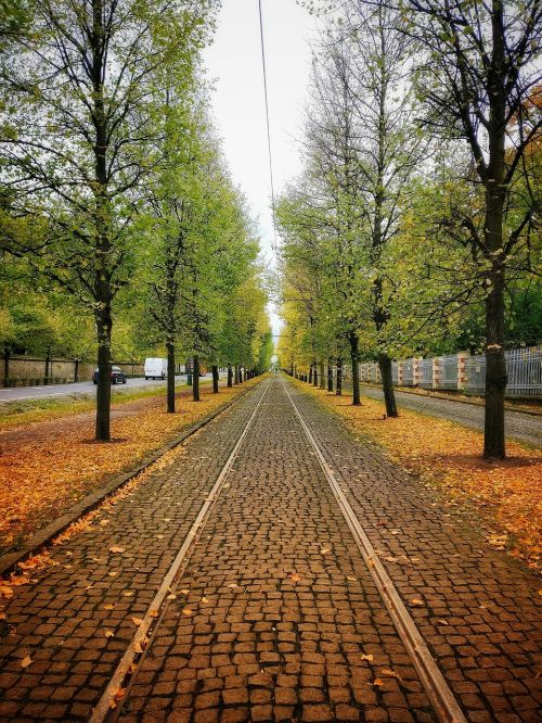 Geležinkelis, Tramvajus, Prague, Ruduo, Medžiai