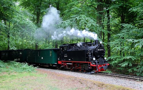 Geležinkelio,  Garai,  Loco,  Garvežys,  Traukinys,  Lokomotyvų,  Nostalgija,  Metai,  Bėgiai,  Geležinkelio Linija,  Garų Variklis,  Siaurojo,  Istoriškai,  Rügen,  Rasender Roland