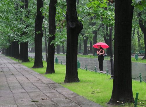 Lietus, Moteris, Lady, Raudona Skėtis, Medžiai, Žolė, Žalias, Parkas, Ruduo, Oras, Bukareštas, Romanija