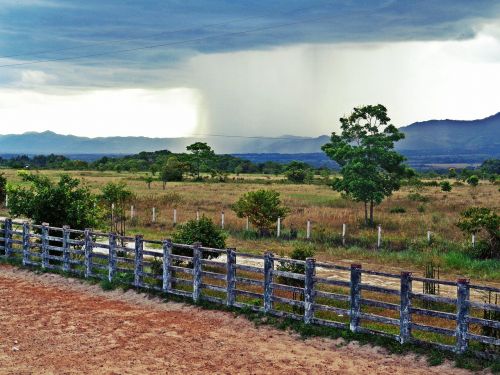 Lietus, Kraštovaizdis, Medis, Casanare, Kolumbija