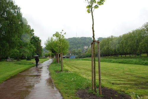Lietus, Skėtis, Vanduo, Šlapias, Ant Stadeno, Medžiai, Saarbrücken