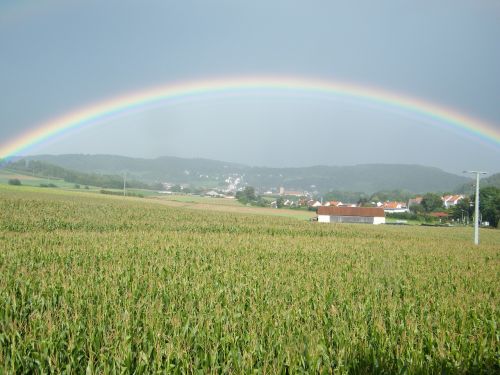 Vaivorykštė, Kukurūzų Laukas, Laukas