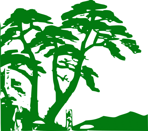 Atogrąžų Miškai, Augmenija, Medžiai, Miškas, Džiunglės, Žalias, Siluetas, Augalai, Siluetai, Nemokama Vektorinė Grafika