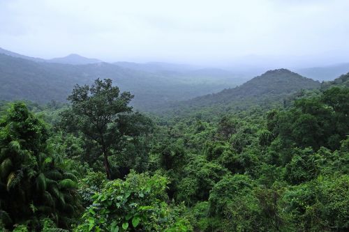 Atogrąžų Miškai, Mollemo Nacionalinis Parkas, Vakarų Gatas, Kalnai, Augmenija, Debesys, Goa, Indija