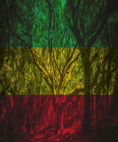 Rasta,   Forest,   Rastafari,   Nature,   Rastaman,   Reggae