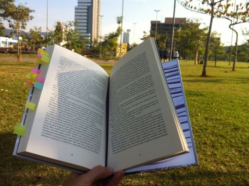 Skaitymas, Parkas, Knyga, Vienatvė, Sol, Sekmadienis, Skaityti, Skaitytojas, Atsipalaidavimas